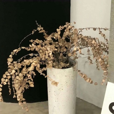 兽设场景氛围营造教程兽圈社群